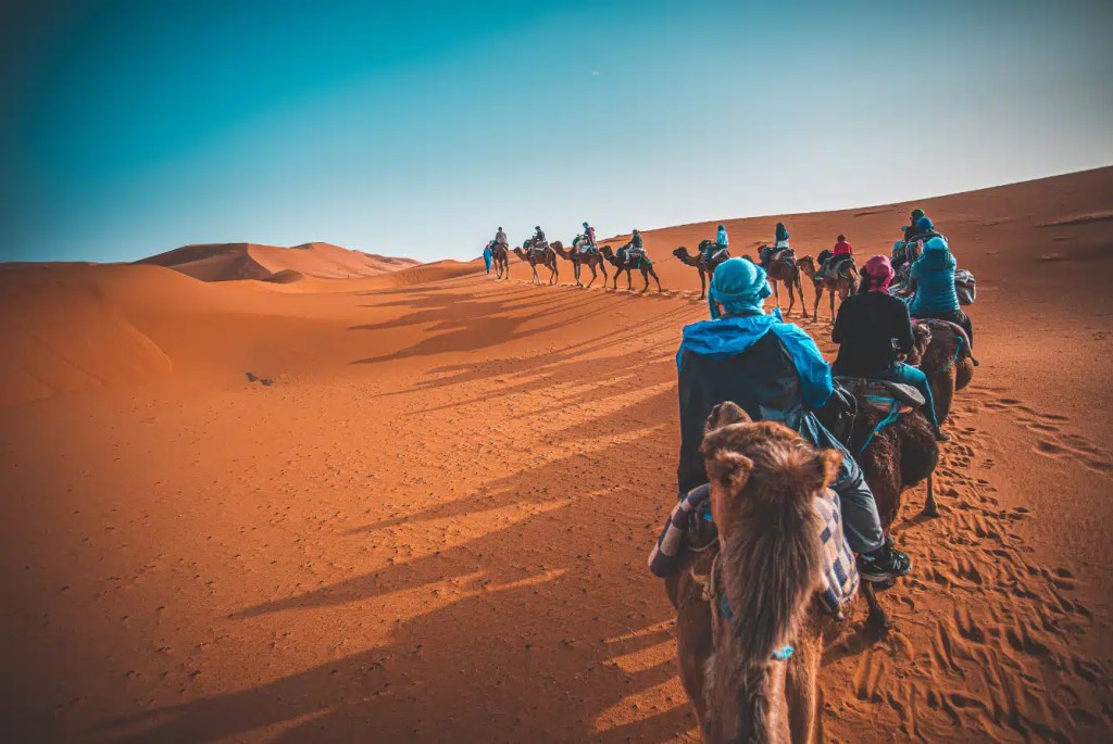 A caravan of camels and riders in the vast, arid landscape of the Moroccan Sahara.