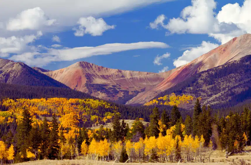 A stunning autumn scene in Aspen, Colorado, with golden-yellow trees in the foreground contrasted against a backdrop of towering, reddish mountains. The sky is bright blue with fluffy white clouds, creating a dramatic landscape view of the mountains and forest.