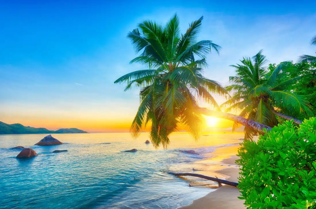 The image shows a stunning tropical beach at sunset, with vibrant colors filling the sky, fading from blue to orange. The beach is framed by green palm trees leaning over the soft sandy shore with the setting sun peaking through the branches. The calm ocean gently laps against the beach, and a few large boulders are scattered near the shoreline, with mountains far off in the distance along the horizon.