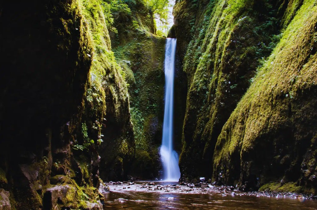 Oneonta Gorge in Oregon, featuring a narrow canyon covered in green moss with a tall, slender waterfall cascading into a stream below.