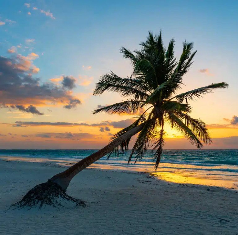 The Ultimate Guide To Tulum: Travel Tips + Where To Stay
