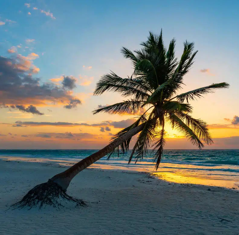 The Ultimate Guide To Tulum: Travel Tips + Where To Stay