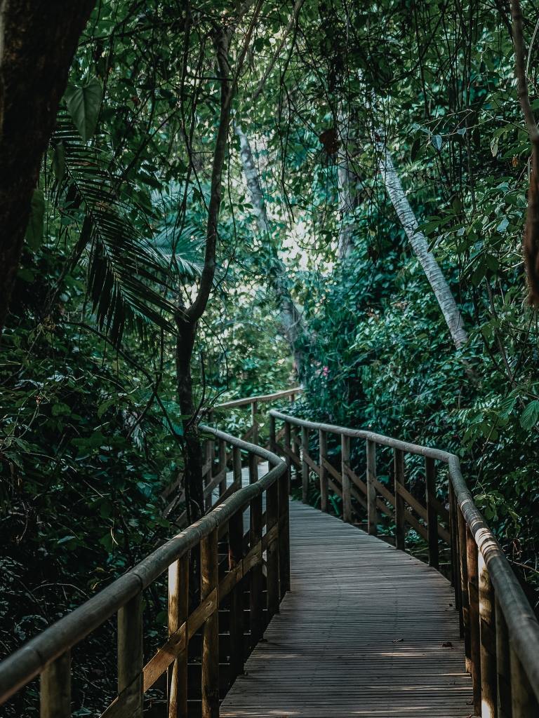 Your Quick and Easy Activity Guide to Costa Rica