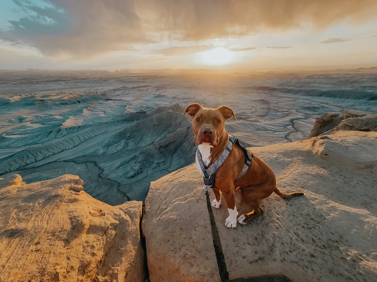 Discover Moonscape Overlook: A Hidden Gem in Utah